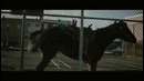 John Newman ft. Rudimental – Feel The Love (Official Video)