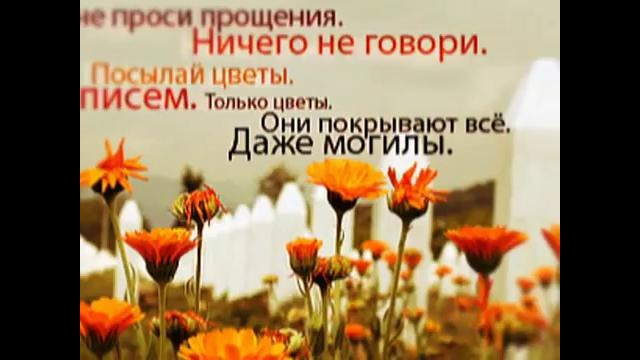 Цитаты на каждый день