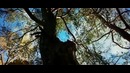 Nokia 808 pureview cinemastyle