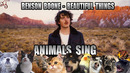 Benson Boone – Beautiful Things (Animal Cover)