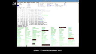 Ubuntu & Debian – Урок 05. Основные консольные команды