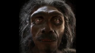 6 миллионов лет за 1 минуту как изменялось лицо человека