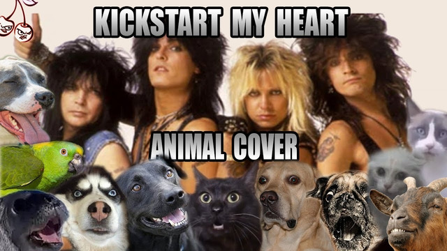 Motley Crue – Kickstart My Heart (Animal Cover)
