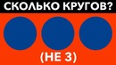 Сколько кругов на картинке 10 фактов о глазах и зрении