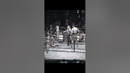 Бенавидес – мощь #бокс #boxing #top #актуально