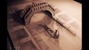 3D картинки на бумаге