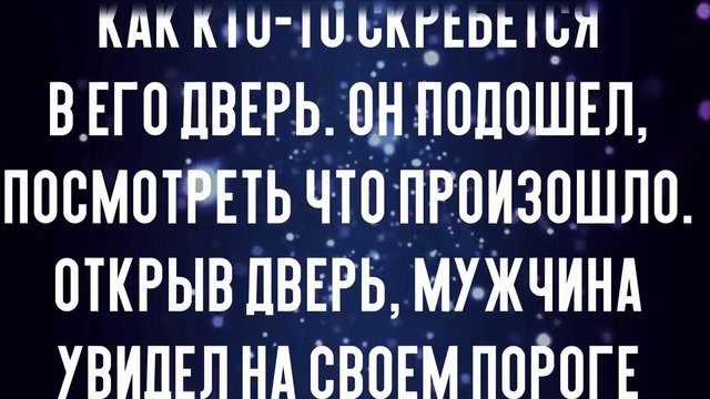 Приютил бездомную кошку и получил утром подарки