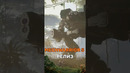 MechWarrior 5 Clans. Релиз