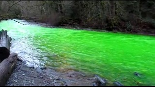 В Канаде река стала ярко-зеленой