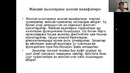 Zoom 03.6. Уралогиядаги ўткир ҳолатлар