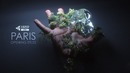 Video Copilot LIVE! Paris Opening Titles