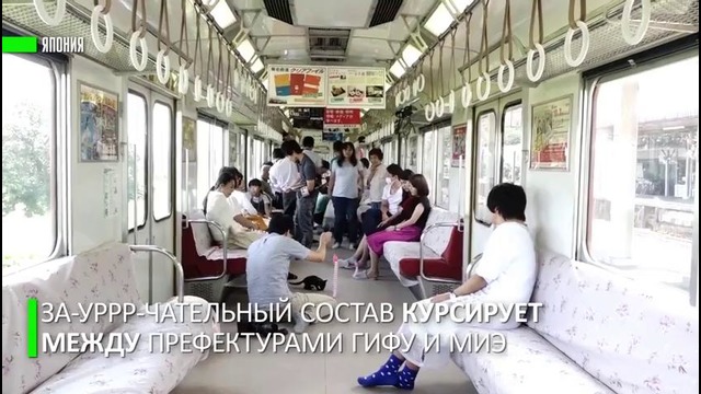 За-мурр-чательный вагон. В Японии запустили поезд с котами