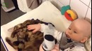 Дети играют с домашними питомцами