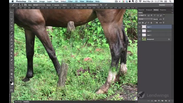 Джереми Шубек Сверхмощный видеокурс по Photoshop CS6 (2013) Урок 54