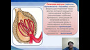 Unit 49 Физиология выделение