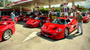 Ferrari F50 30th Anniversary Tour in Tuscany: 23x F50