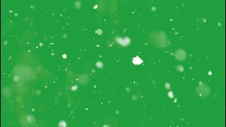 Snow Green Screen Effect (Real Snow)