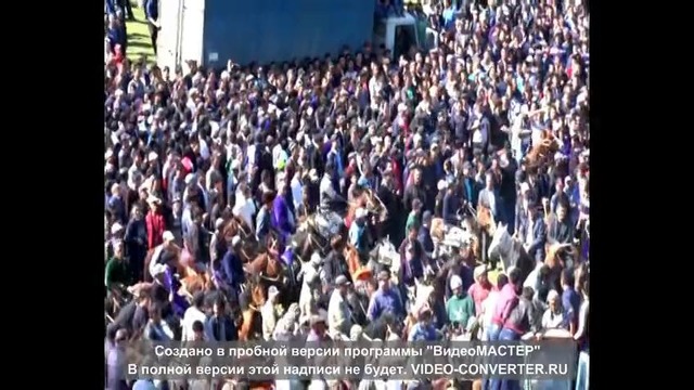 Maqsud chavog’on Ko’charhojini Tayson laqabli oti bn 1 tuya, 1 xo’kiz 700 so’m oldi