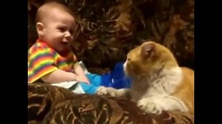 Кот знает как обращаться с детьми