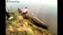 Поймали крупную рыбку