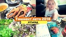 Ташкент. горы. бочки. отъезд