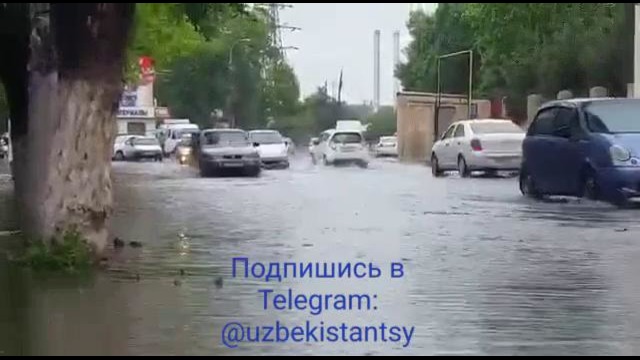 В Ташкенте дождь:)