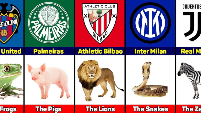Футбольные клубы с животными прозвищами