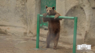 Вы узнаете это первыми! Каким станет Ташкентский зоопарк