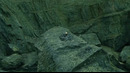 Sarafilmuz Garri Potter Va Alanga Kubogi (2005) Imax 10