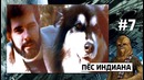 По факту — 10 умопомрачительных фактов про ЗВЁЗДНЫЕ ВОЙНЫ