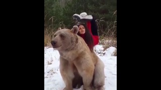Селфи с медведем
