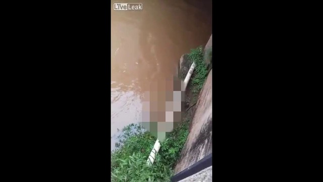 В Бразилии парень решил прыгнуть с моста в воду, но зацепился ногой за мост