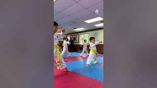 Future Taekwondo masters alert