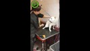 Девушка успокоила агрессивную собаку