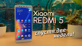 Обзор Xiaomi Redmi 5 – 2 недели с идеальным бюджетником