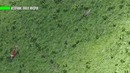 Загнанный хищник, или Охота, в которой что-то пошло не так