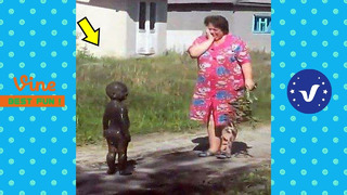 Funny & Hilarious Video People’s Happy Life #21 Try Not To Laugh Funny Videos 2024