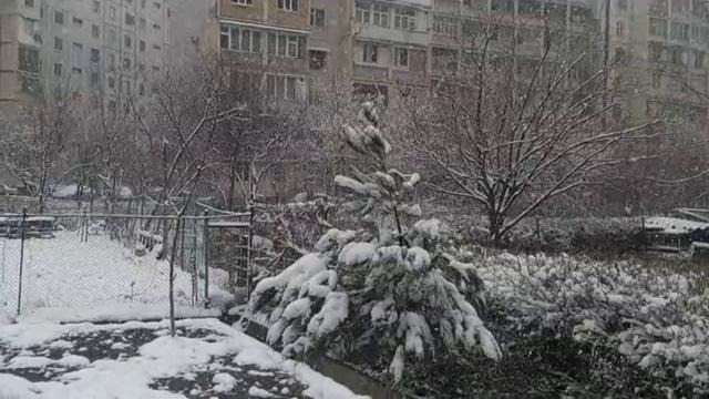 Снег на 8 марта