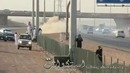 Подборка дтп с видеорегистратора Cars on the road Compilation 2012 (110)