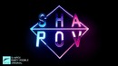 Shapov, M.E.G. & N.E.R.A.K. – Party People (Original Mix)