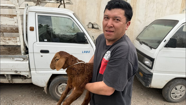 Как В Узбекистане стать Миллионером! Пополнение в Семье