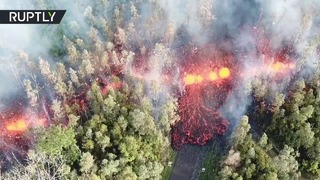 В США поток лавы после извержения вулкана Килауэа прошёл сквозь лес