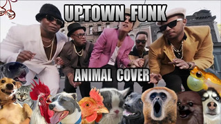 Mark Ronson ft. Bruno Mars – Uptown Funk (Animal Cover)