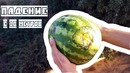 СКИНУЛИ АРБУЗ С МОСТА/с парашютом! Что будет если скинуть арбуз с крыши/Дроп тест