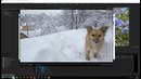 Как превратить 30FPS в 60FPS со стабилизацией | Гайд Premier Pro
