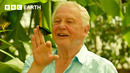 100 Iconic Moments From Sir David Attenborough | BBC Earth