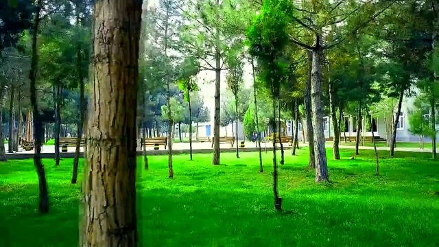 Shahand sanatoriyasi Шаханд санатория