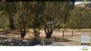Олег Брейн – Нашли Дом Granny в Игре GeoGuessr