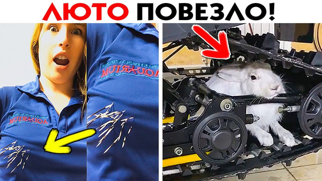 55 случаев лютого везения