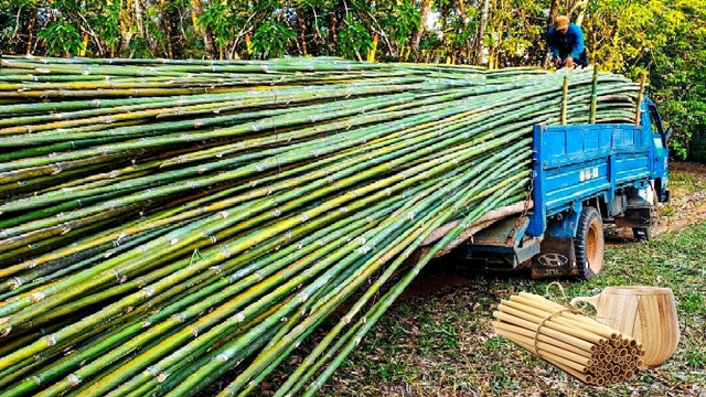 Почему бамбук — это экологичная древесина будущего